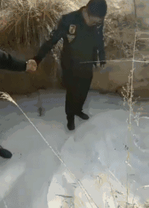 有哪些让你笑出内伤的GIF图