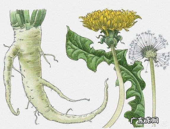 医生说:肝癌是吃出来的,爱吃哪些食物容易得肝癌