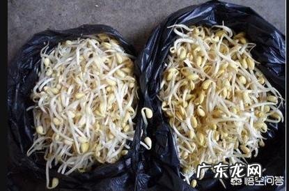 医生说:肝癌是吃出来的,爱吃哪些食物容易得肝癌