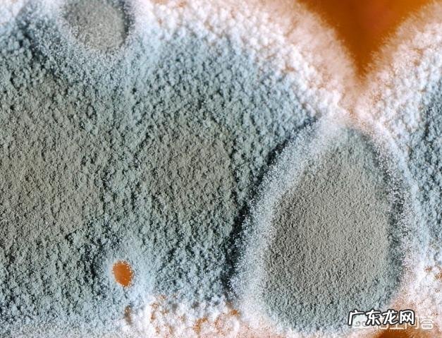 医生说:肝癌是吃出来的,爱吃哪些食物容易得肝癌