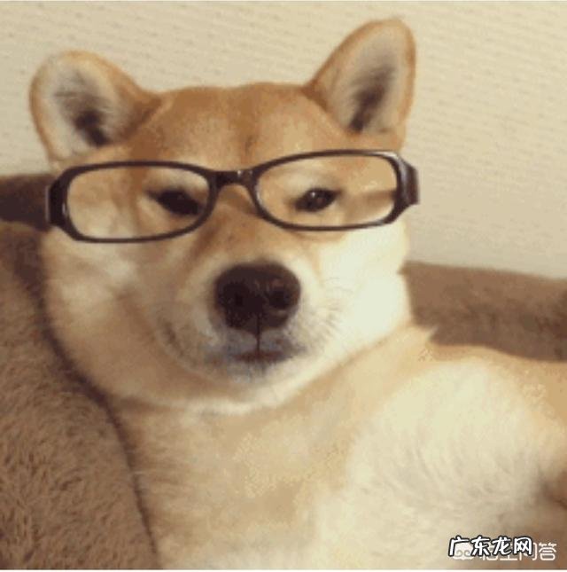 睡姿一般，总是侧着的，求推荐合适床垫品牌