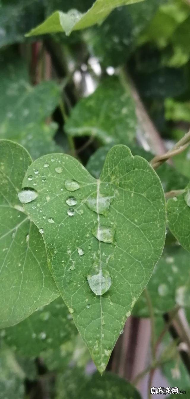 为什么很多人学了很多年英语,却不能跟外国人简单交流