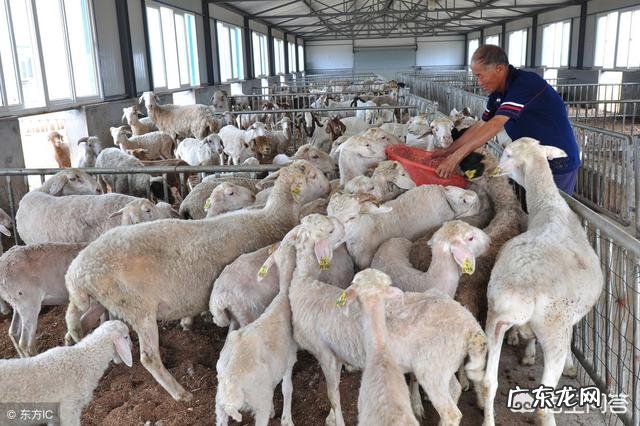 接种新冠疫苗后,多久能产生抗体接种证明能否替代核酸检测报告