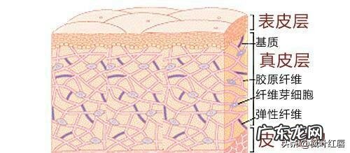 约基奇暴瘦后,会不会变得更厉害
