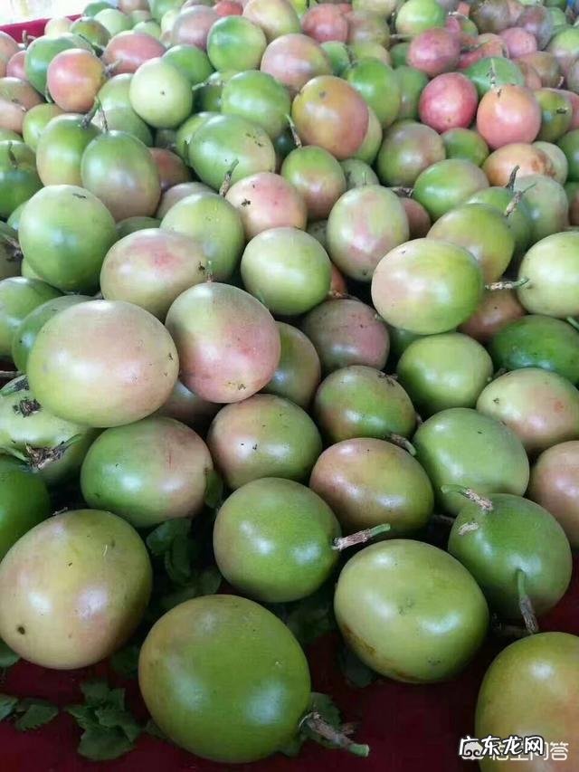 柠檬蜂蜜百香果喝多了对胃好不