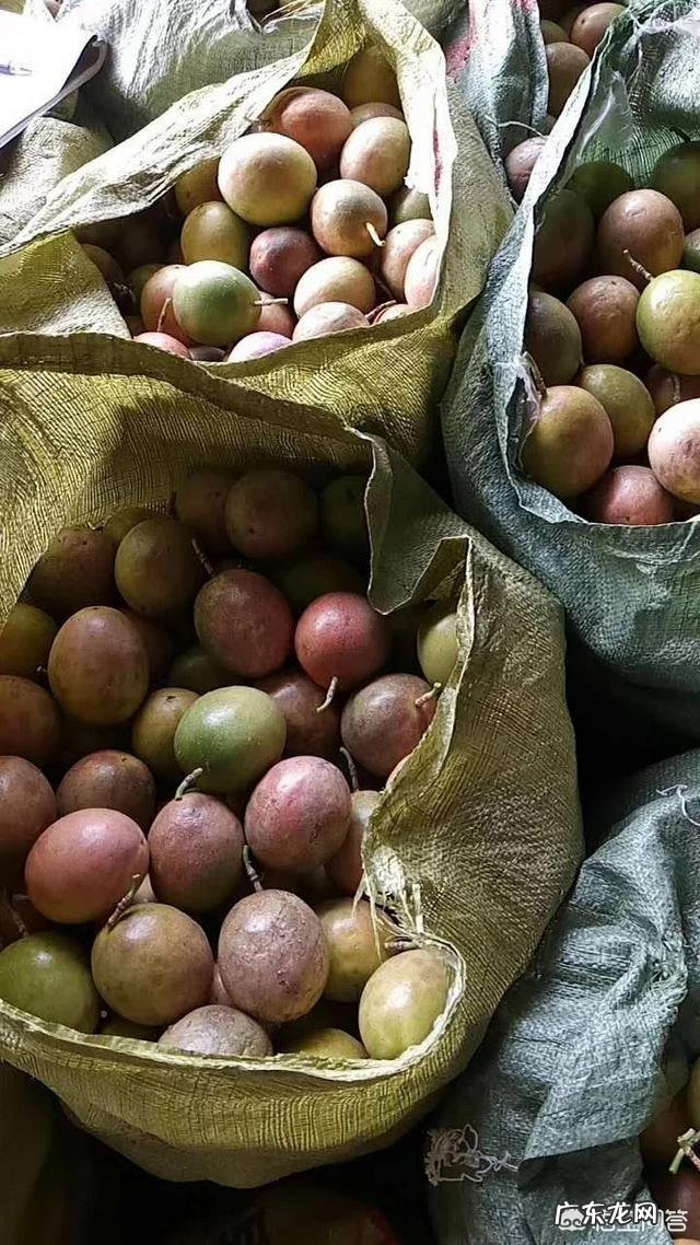 柠檬蜂蜜百香果喝多了对胃好不