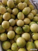 柠檬蜂蜜百香果喝多了对胃好不