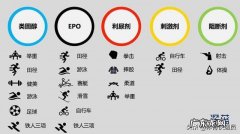 陈幸同在全运会上战胜奥运会冠军陈梦强势夺冠，她到底有多强