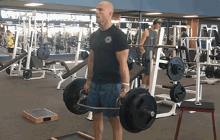 我想练成杰森斯坦森的背部,需要付出多少努力