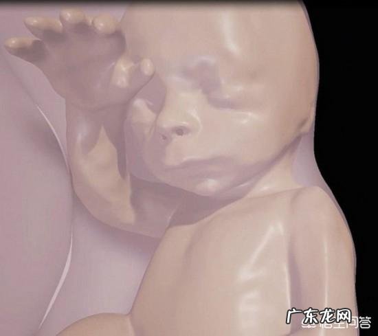 胎儿的作息时间和准妈妈的作息时间一样吗