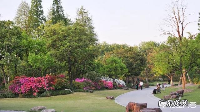 老年人肝不好，常见有哪些特征怎么做可以养肝排毒