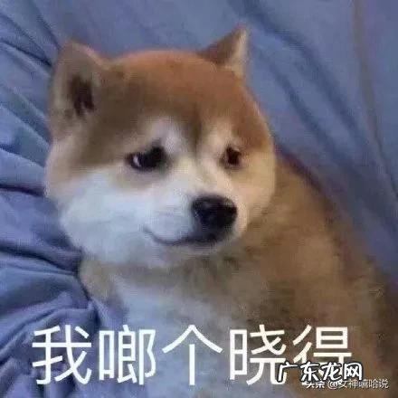 小S的瘦身操又在微博火起来了，据说还能瘦手臂变翘臀