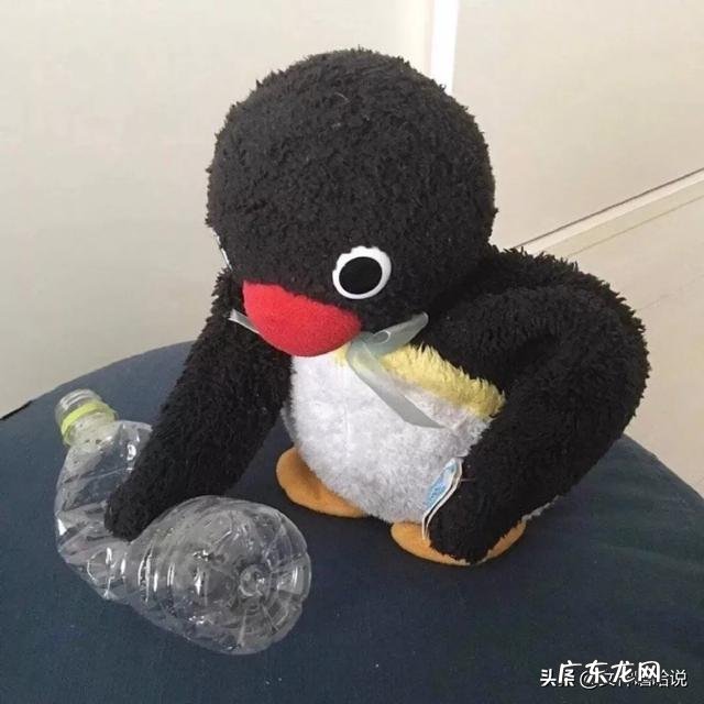 小S的瘦身操又在微博火起来了，据说还能瘦手臂变翘臀