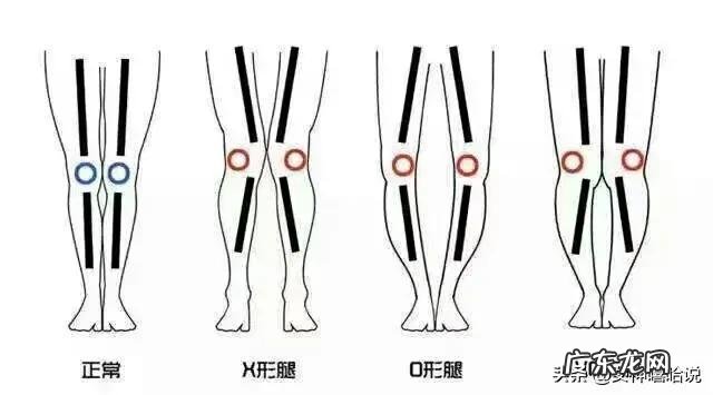 小S的瘦身操又在微博火起来了，据说还能瘦手臂变翘臀