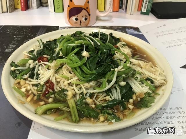 怎么帮我设计一个减肥的计划