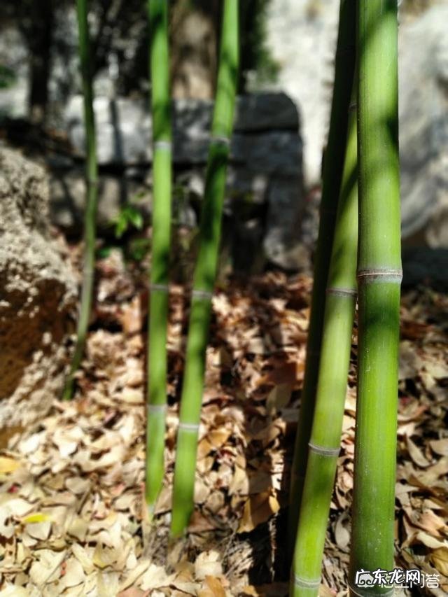 都说“最毒妇人心”,你能说个真实的故事吗