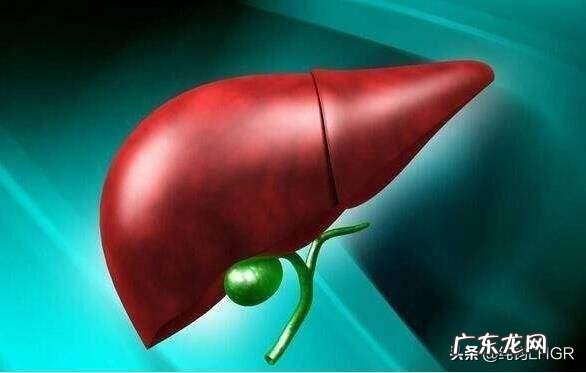 如何避免药物对肝脏造成的伤害