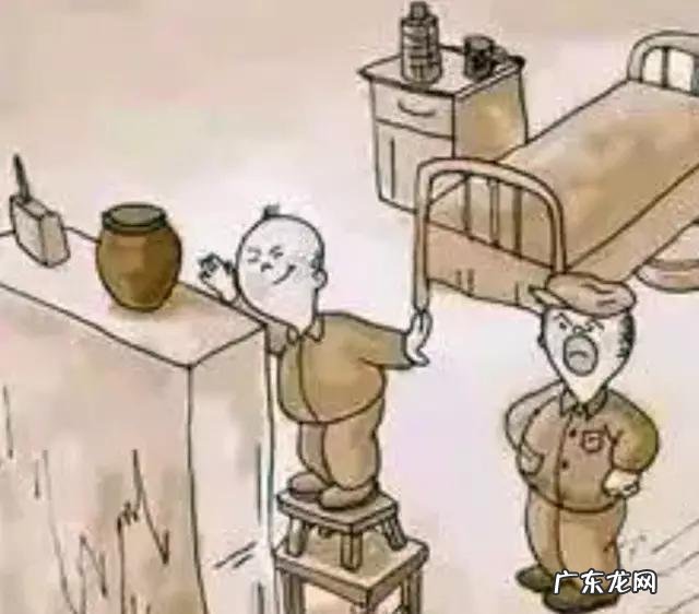 狗狗心脏病药速尿片和f5是同时服用吗