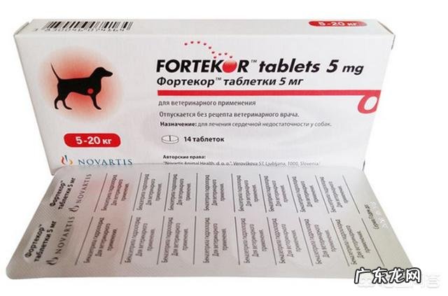 狗狗心脏病药速尿片和f5是同时服用吗