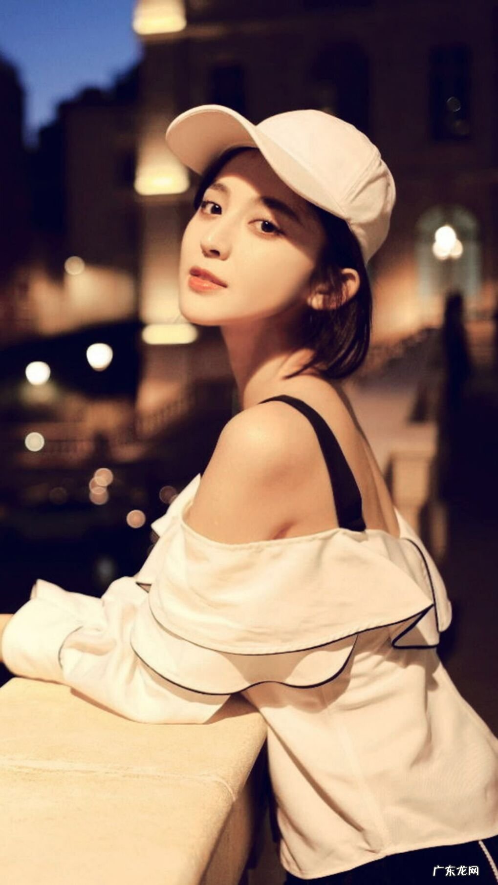 小动物的作文,小猫和小熊的300字