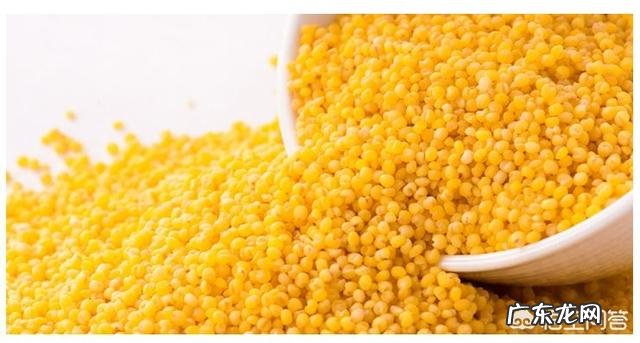 孩子如果有点营养不良,我该怎么样去给孩子补充营养呢