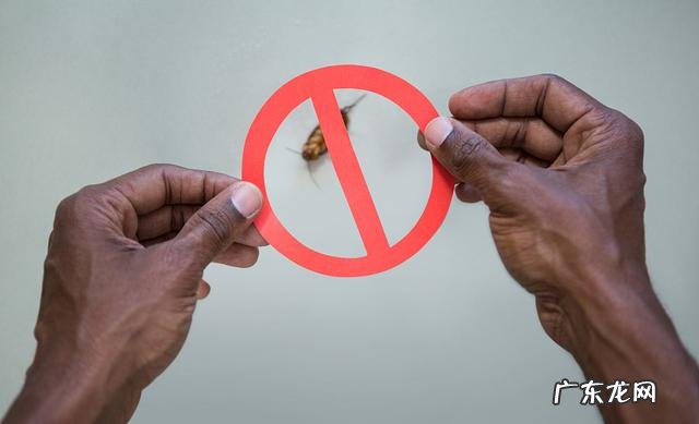 现在淘宝上卖的驱蚊手环有用吗对婴儿有影响吗