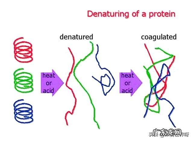 如果美国和俄罗斯互射核弹头，谁会先灭亡有什么根据