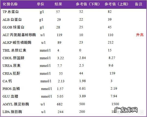 体检中的血液检验报告单重点应关注哪些项目