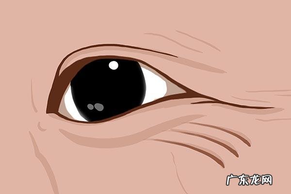 辅酶q10对心脏好用吗 辅酶q10真对心脏有用吗