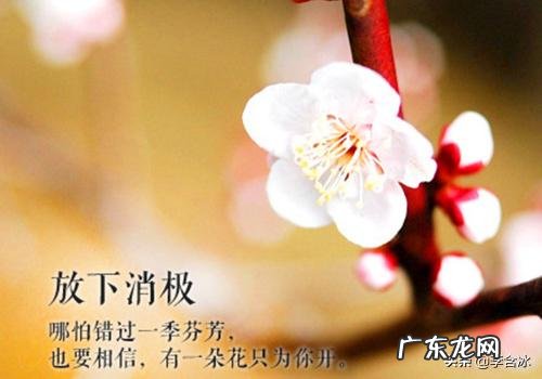 你服抗抑郁药有什么副作用我是发热心慌心悸乏力难以描述难受感