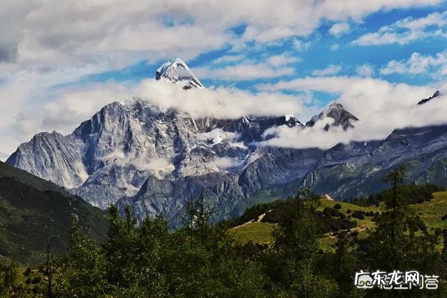 心脏支架能使用几年能取出来吗