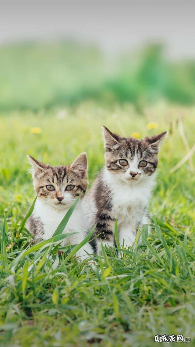 你有哪些最新的搞笑段子或图片分享几个吧