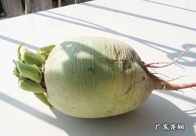 健康瘦身才有助于减肥!瘦身食物推荐