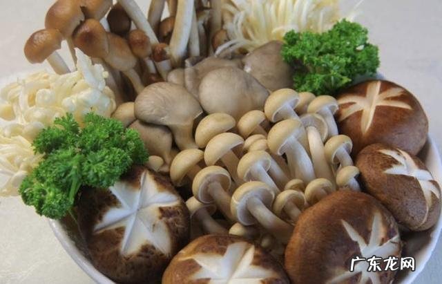 健康瘦身才有助于减肥!瘦身食物推荐