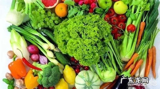 有哪些食物是不含糖、淀粉、脂肪的