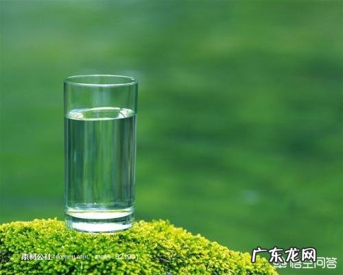 有哪些食物是不含糖、淀粉、脂肪的