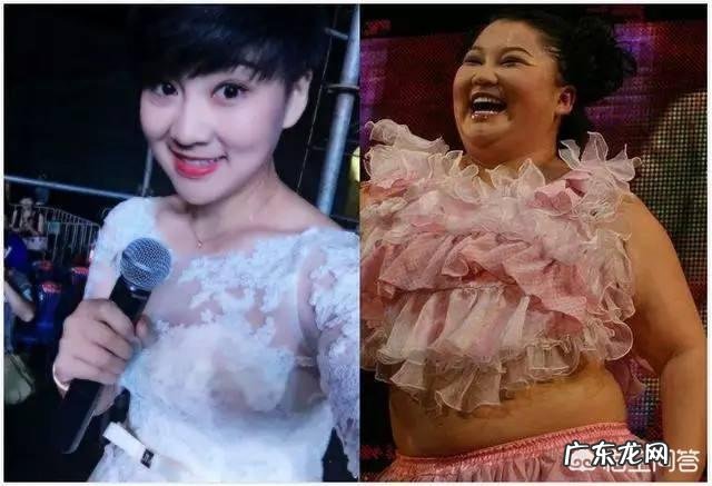 赵本山徒弟胖丫判刑3年,现在当明星已经不挣钱了吗