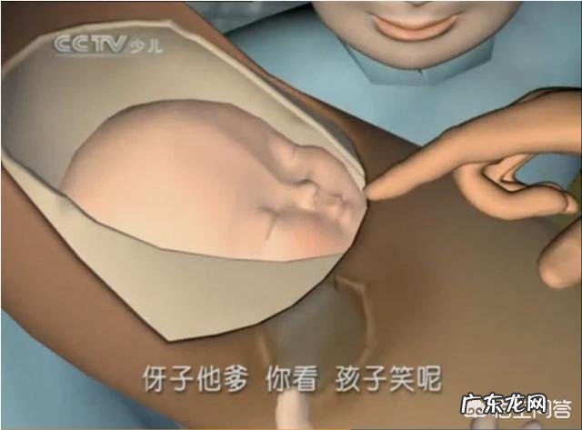 你看过哪些不能忍受的粗糙画质的3D动漫