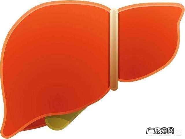 丙氨酸氨基转移酶高是怎么回事