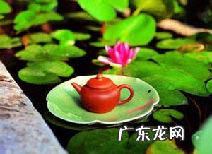 求推荐一款好用的减肥茶。