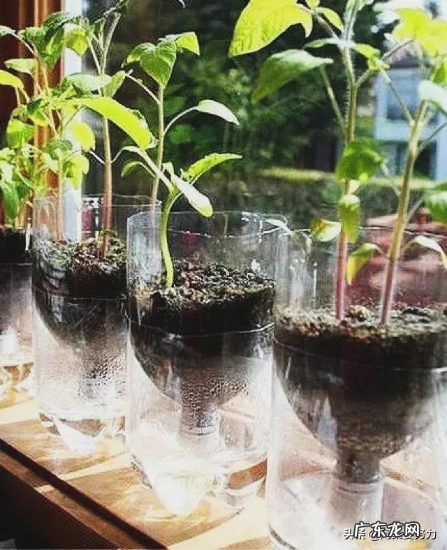 人活着最怕一个穷字,你最穷的时候卑微到什么程度