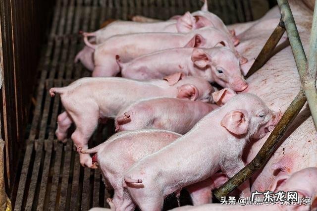 为什么感觉减肥和挣钱都这么难