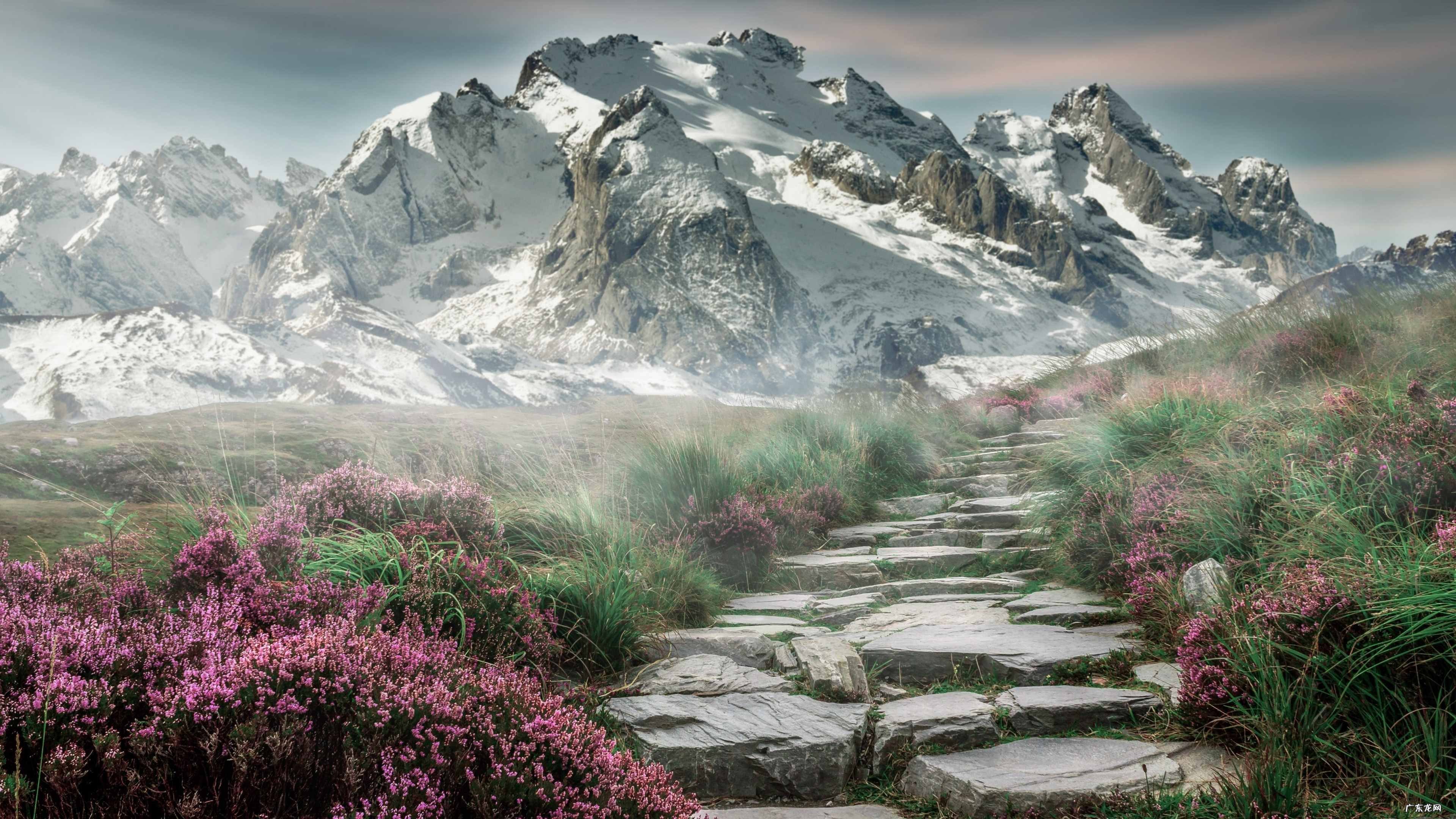 金盏花,莉莉茶,玟瑰花,这三种花喝了对脸部好什么好处