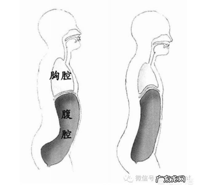 俯卧撑呼吸正确方法是什么