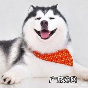 你在喝醉酒后,闹过什么笑话