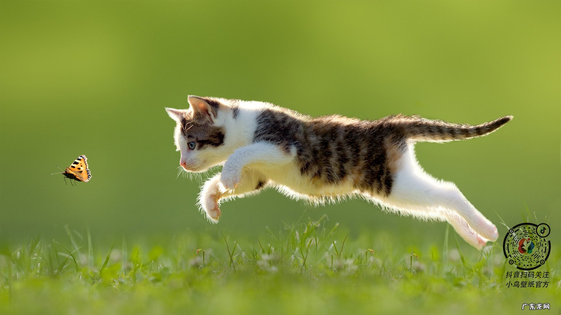 脂肪含量高的食品有什么危害呢