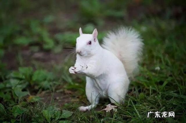 怎样可以一个月瘦十斤,三个月连续瘦30斤