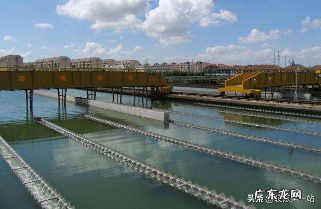 纯净水、矿泉水和白开水各有什么特点