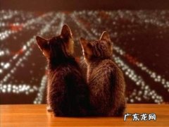 食品药品投诉举报多长时间办结