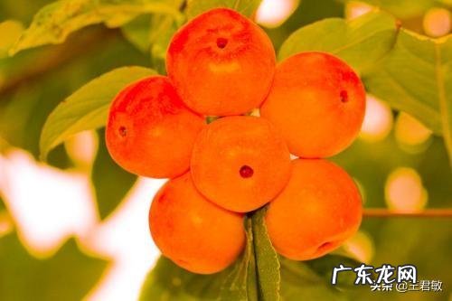 端午节的典故和诗词你都知道哪些